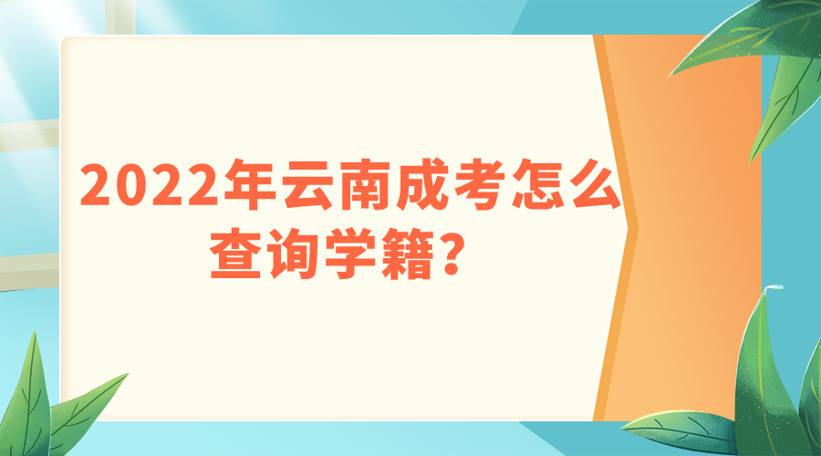 2022年云南成考怎么查詢學籍？