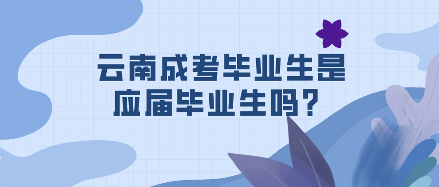 云南成考畢業生是應屆畢業生嗎？